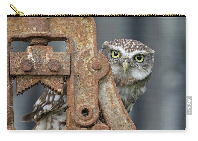 Little Owl Zip Pouch featuring the photograph Little Owl Peeking by Pete Walkden