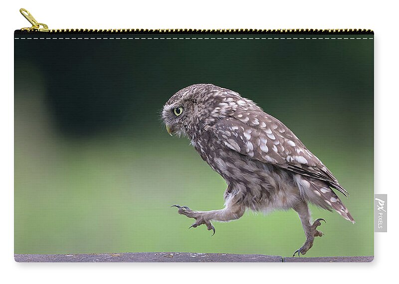Little Zip Pouch featuring the photograph Little Owl Running Along Ridge Tiles by Pete Walkden