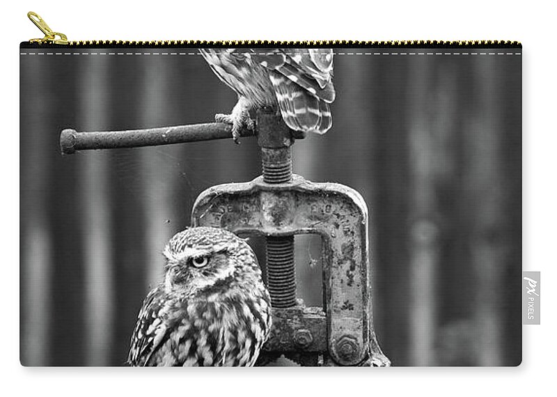 Little Owl Zip Pouch featuring the photograph Little Owls Black And White by Pete Walkden