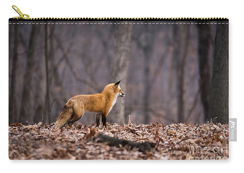 Fox Zip Pouch featuring the photograph Little Red Fox by Andrea Silies