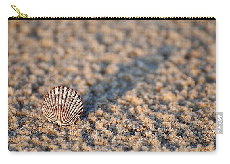 Seashell Zip Pouch featuring the photograph Little Seashell - Jersey Shore by Angie Tirado