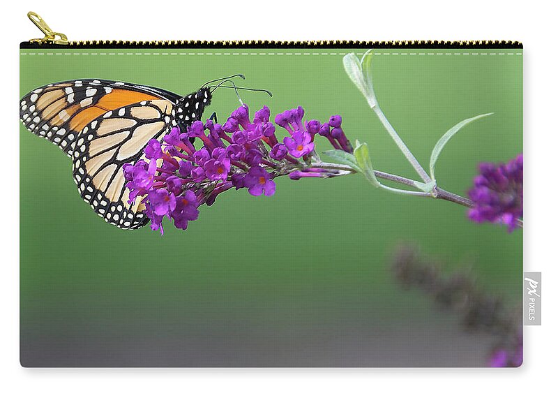 Butterfly Zip Pouch featuring the photograph Little Wing by Angelo Marcialis