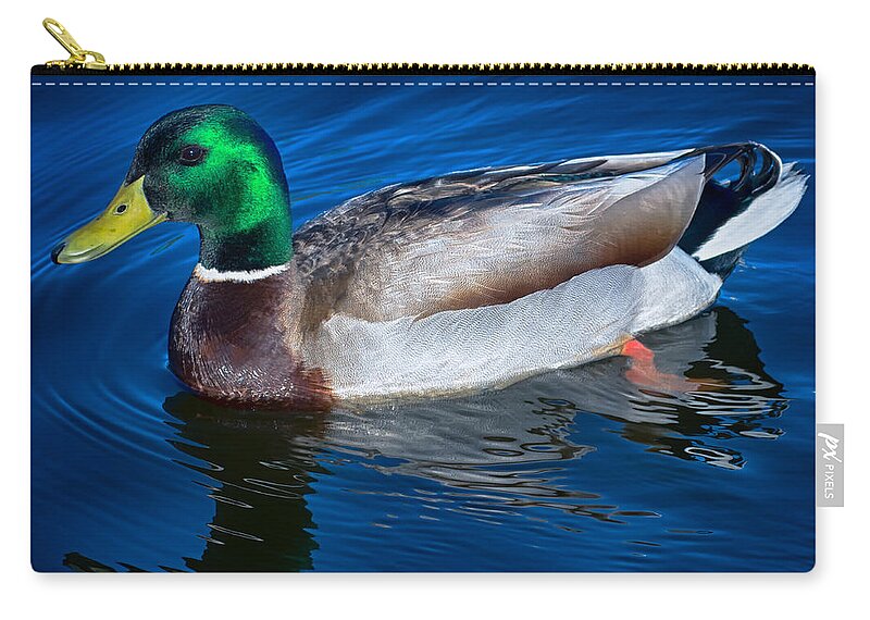 Duck Zip Pouch featuring the photograph Lone Bill by Scott Wyatt