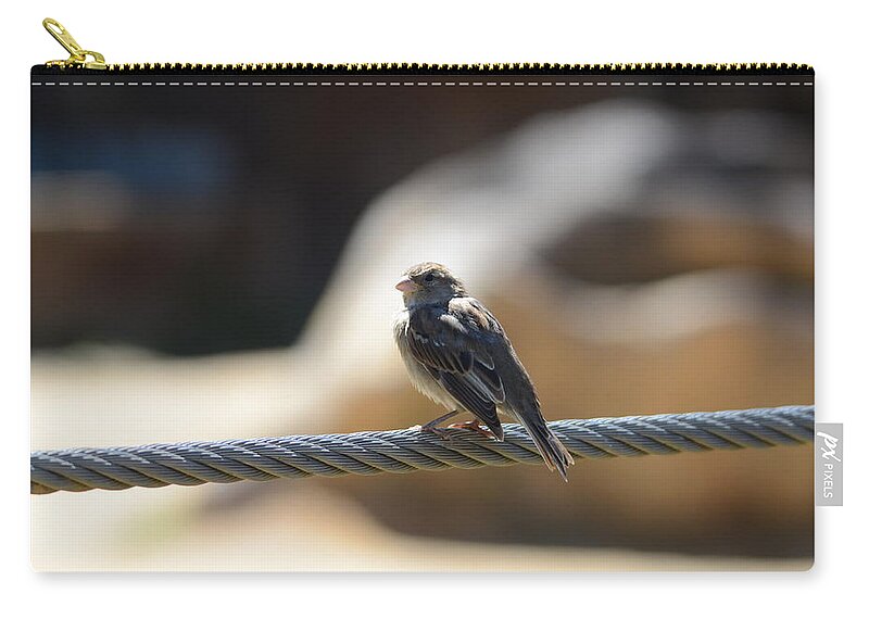 Bird Carry-all Pouch featuring the photograph The Sentry by Chuck Brown