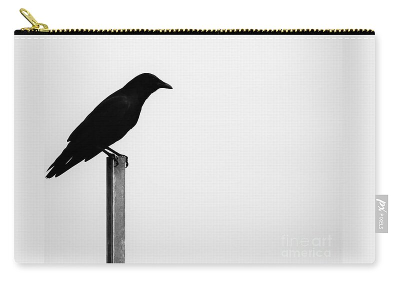Bird Zip Pouch featuring the photograph Lone Bird by Jan Gelders