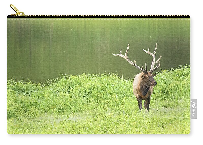 Elk Carry-all Pouch featuring the photograph Lone Elk by Holly Ross