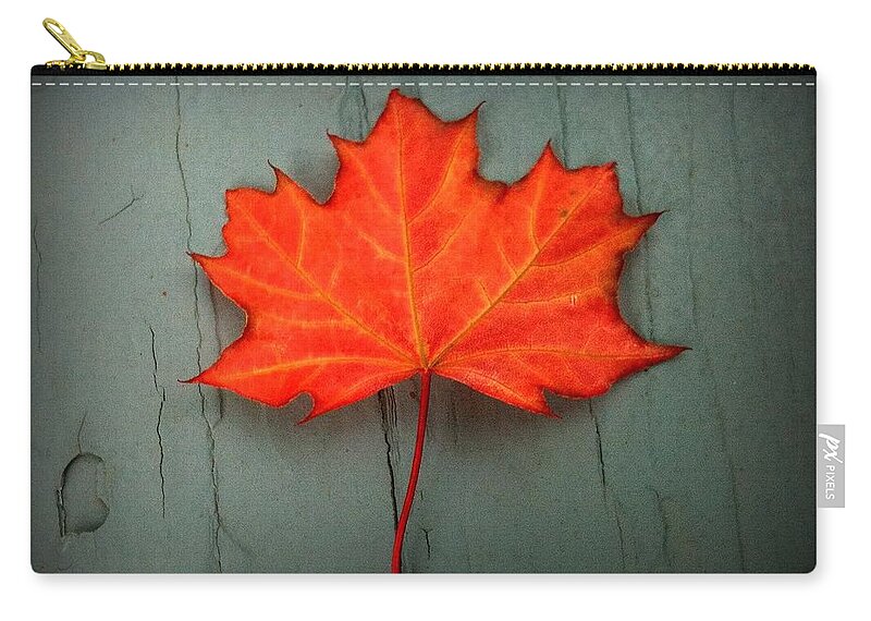 Lone Leaf Zip Pouch featuring the photograph Lone Leaf by Suzanne DeGeorge