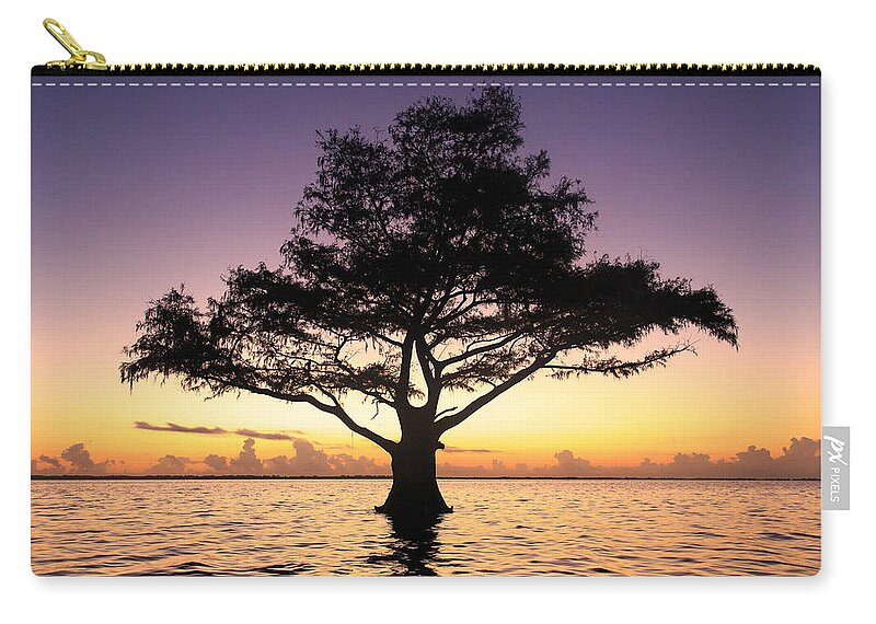 Blue Cypress Lake Zip Pouch featuring the photograph Lone tree at Blue Cypress Lake by Stefan Mazzola