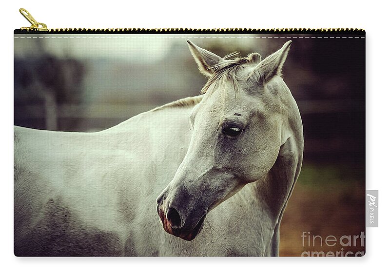 Horse Zip Pouch featuring the photograph Lonely white horse by Dimitar Hristov