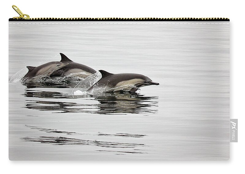 Long Zip Pouch featuring the photograph Long Beaked Common Dolphin with Calf by Deana Glenz