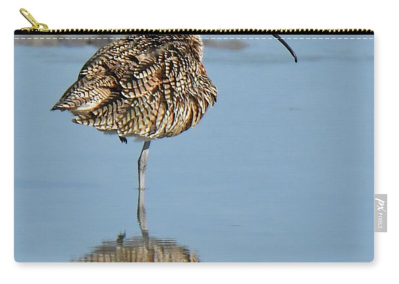 Birds Zip Pouch featuring the photograph Long-billed Curlew by Alan Lenk