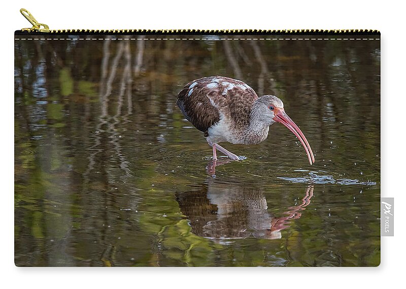 Birds Zip Pouch featuring the photograph Long-billed Curlew - Male by Norman Peay