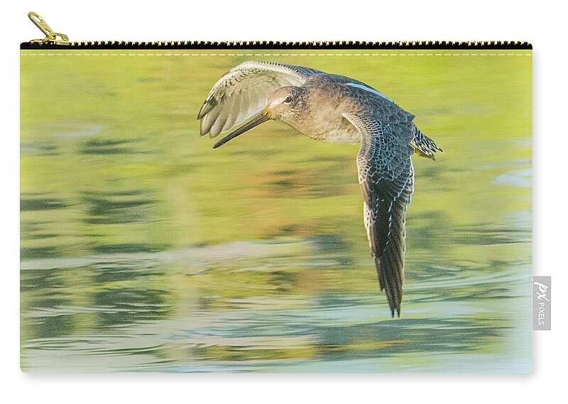 Long Zip Pouch featuring the photograph Long-billed Dowitcher 4799-091917-1cr by Tam Ryan