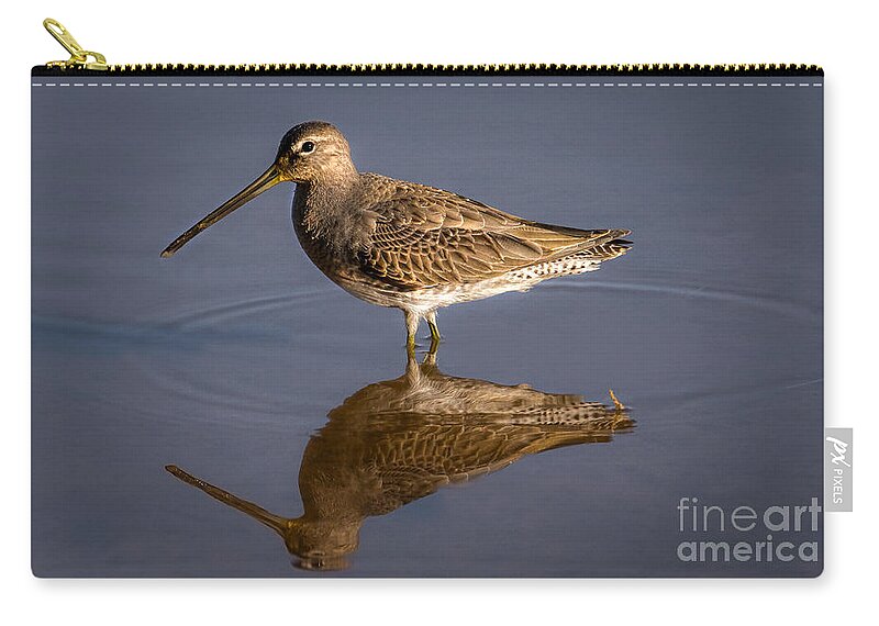 Long-billed Dowitcher Zip Pouch featuring the photograph Long-billed Dowitcher by Lisa Manifold