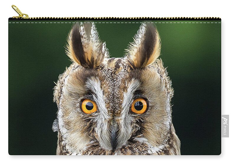 Long Eared Owl Carry-all Pouch featuring the photograph Long Eared Owl 1 by Nigel R Bell
