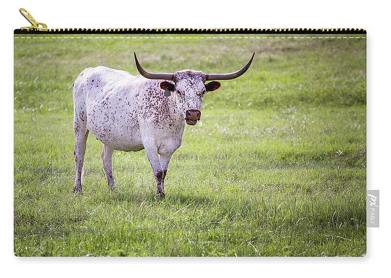 Longhorn Zip Pouch featuring the photograph Longhorn 3 by Anthony Michael Bonafede