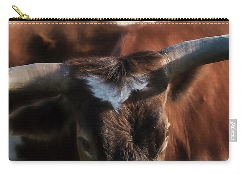Longhorns Zip Pouch featuring the photograph Longhorn by Pamela Steege