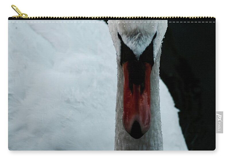 Swan Zip Pouch featuring the photograph Look at me by Hannah Goddard-Stuart