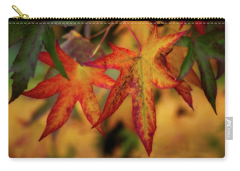 Colorful Zip Pouch featuring the photograph Look at Me by Venetta Archer