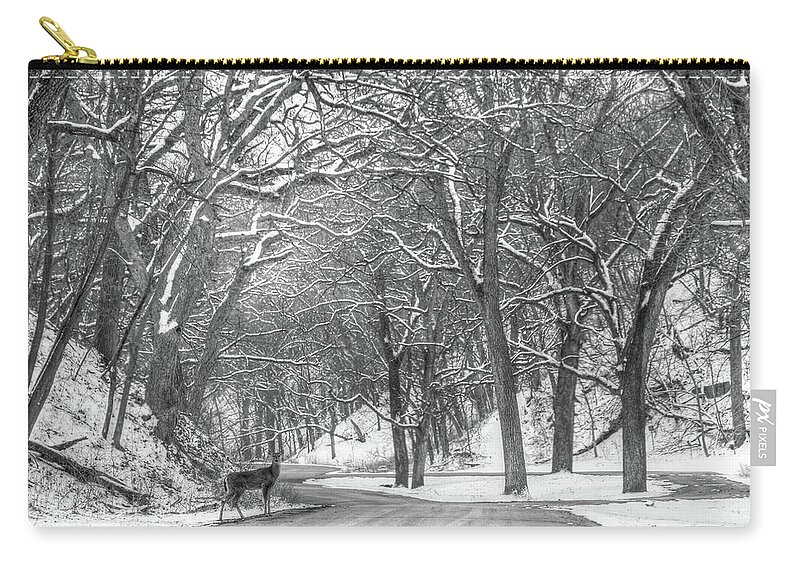 Iowa Zip Pouch featuring the photograph Look Both Ways by J Laughlin