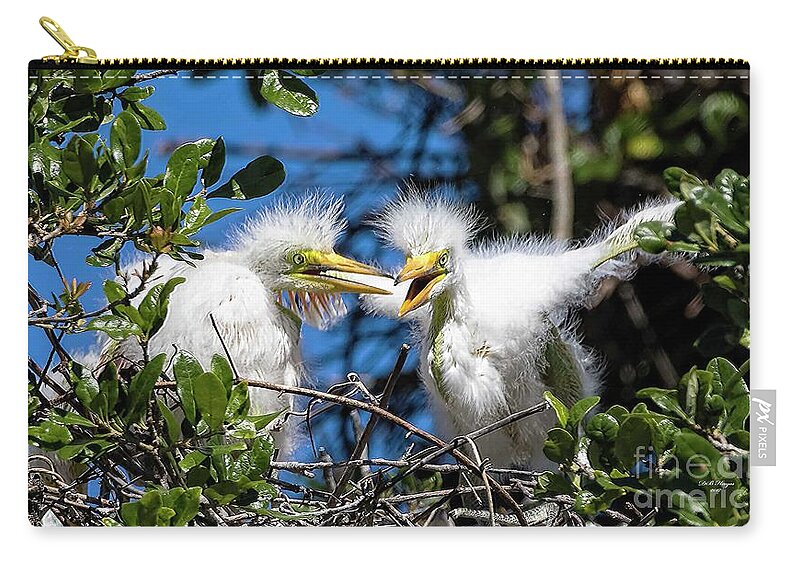 Egrets Zip Pouch featuring the photograph Look - I Have Wings by DB Hayes