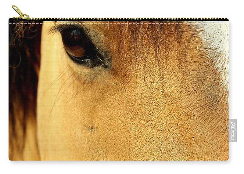 Brown Zip Pouch featuring the photograph Look Me in the Eye by Beth Collins