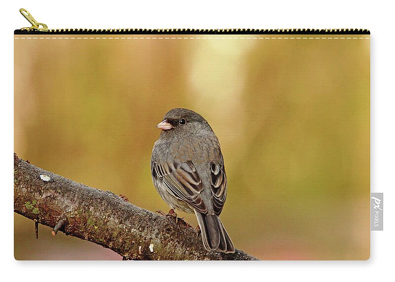 Junco Zip Pouch featuring the photograph Looking Back At You by Debbie Oppermann