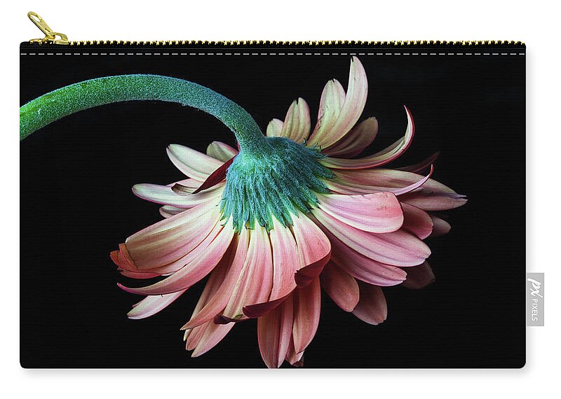 Daisy Zip Pouch featuring the photograph Looking Down by Tammy Ray