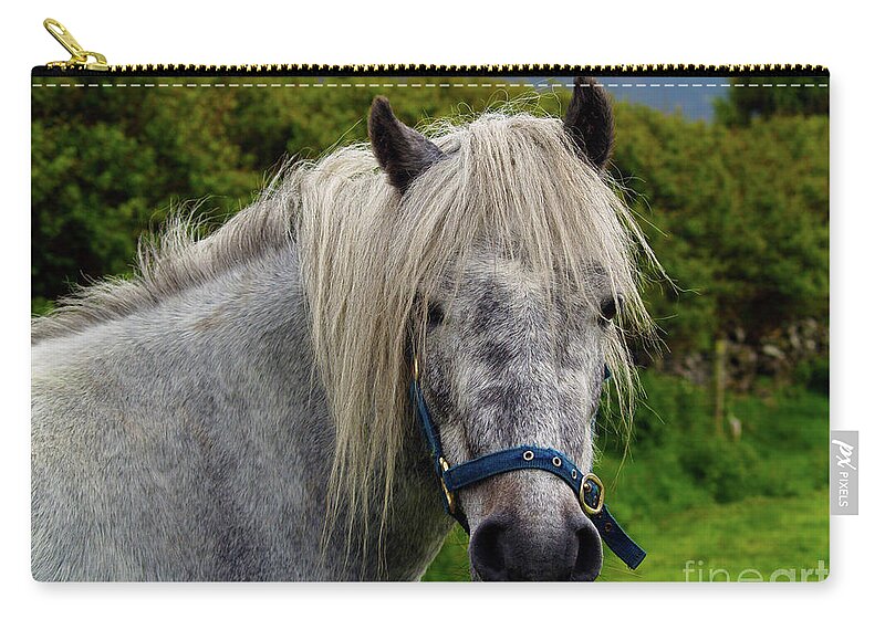 Horse Photography Zip Pouch featuring the photograph Looking for Handouts on the Dingle Peninsula by Patricia Griffin Brett