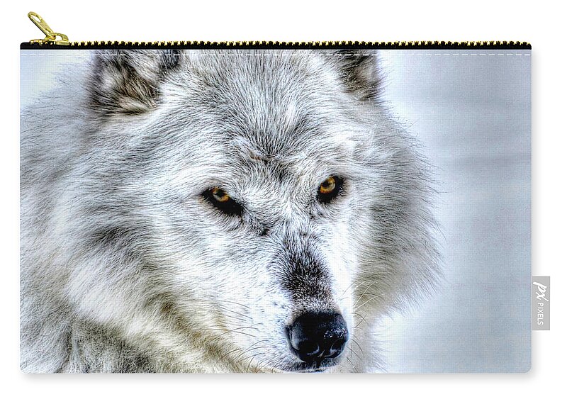 Wolf Zip Pouch featuring the photograph Looking Pretty by Don Mercer