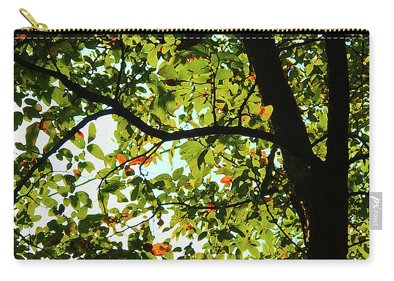  Zip Pouch featuring the photograph Looking Thru The Leaves Three by Robert J Sadler