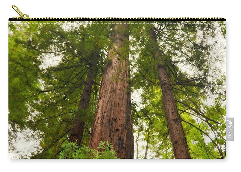 Redwoods Zip Pouch featuring the photograph Looking Up among the Armstrong Redwoods by Carla Parris