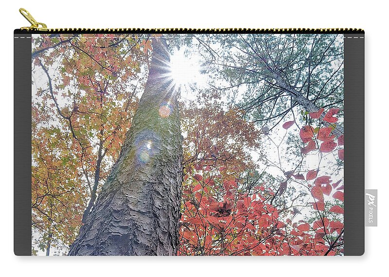 Starburst Zip Pouch featuring the photograph Looking Up by Doris Aguirre