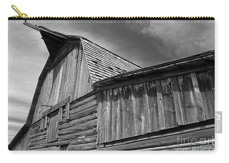 Black And White Zip Pouch featuring the photograph Looking Up by Edward R Wisell