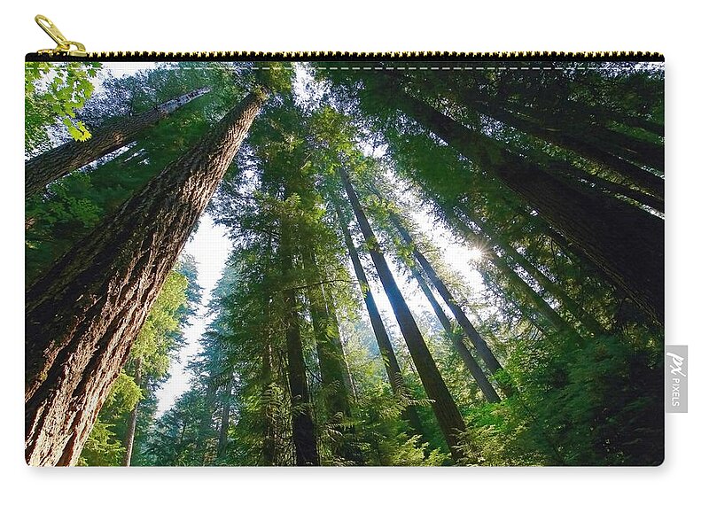 Looking Up Zip Pouch featuring the photograph Looking up by Lynn Hopwood