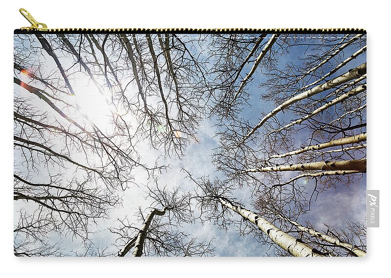 Trees Zip Pouch featuring the photograph Looking Up on Tall Birch Trees by Good Focused