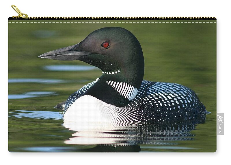 Animal Zip Pouch featuring the photograph Loon Close Up by Sandra Huston