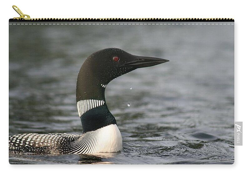 Common Loon Zip Pouch featuring the photograph Loon Look Out by Sandra Huston