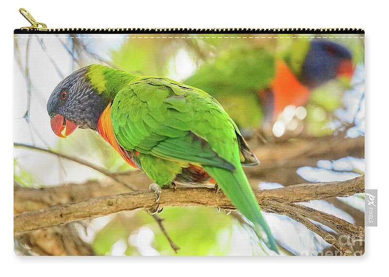 Wildlife Zip Pouch featuring the photograph Lorrikeets 02 by Werner Padarin