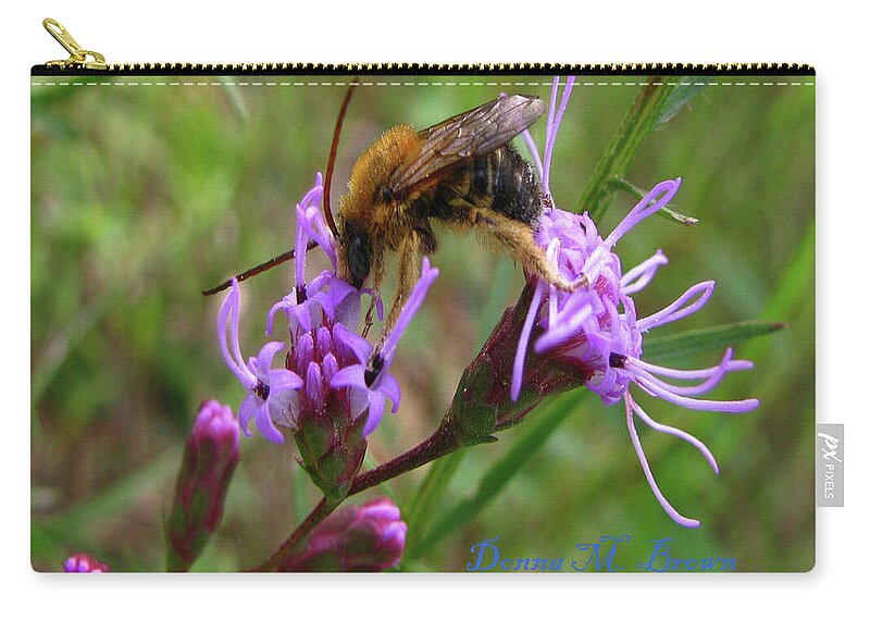 Bee Zip Pouch featuring the photograph Lost Treasures by Donna Brown