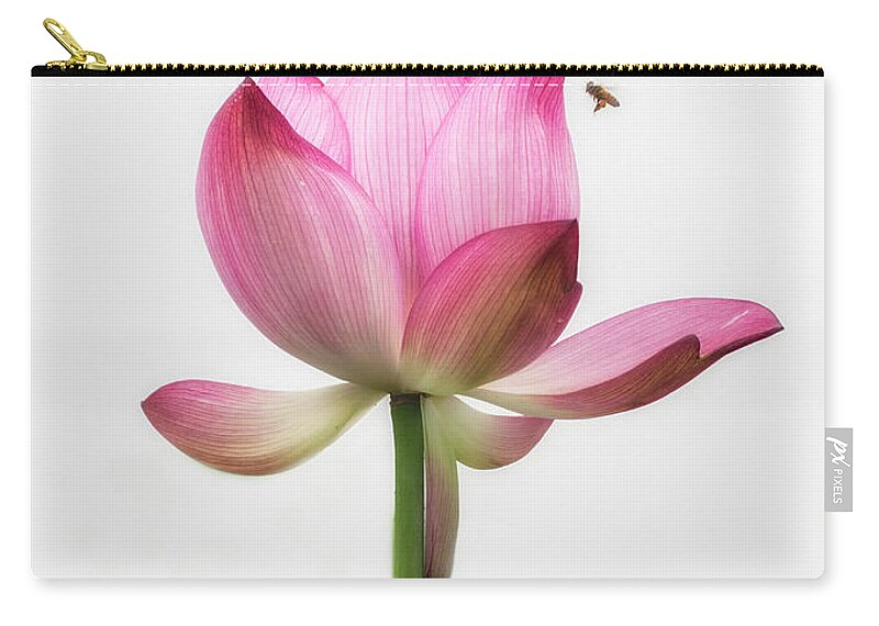 China Carry-all Pouch featuring the photograph Attraction between the bees and the flower. by Usha Peddamatham
