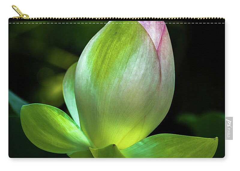 Jay Stockhaus Zip Pouch featuring the photograph Lotus Blossom by Jay Stockhaus
