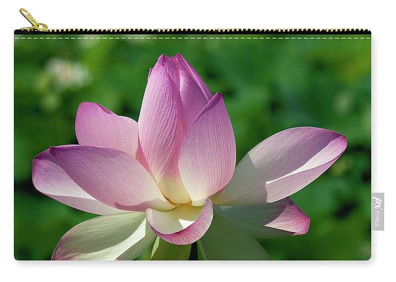 Lotus Carry-all Pouch featuring the photograph Lotus Bud--Getting the Hang of It iv DL0096 by Gerry Gantt