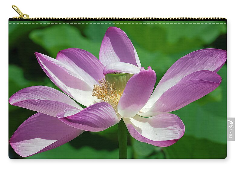 Lotus Zip Pouch featuring the photograph Lotus--Center of Being--Protective Covering i DL0087 by Gerry Gantt