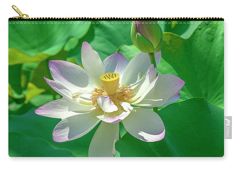 Lotus Carry-all Pouch featuring the photograph Lotus--Fading i DL0079 by Gerry Gantt
