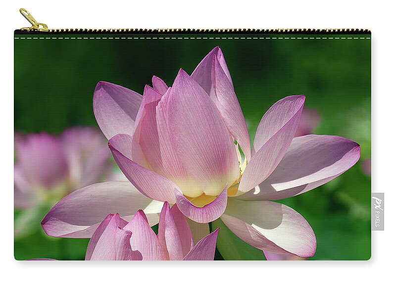 Lotus Carry-all Pouch featuring the photograph Lotus--Sisters i DL0082 by Gerry Gantt