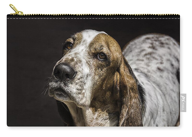 Dog Zip Pouch featuring the photograph Lovable by Louise Hill