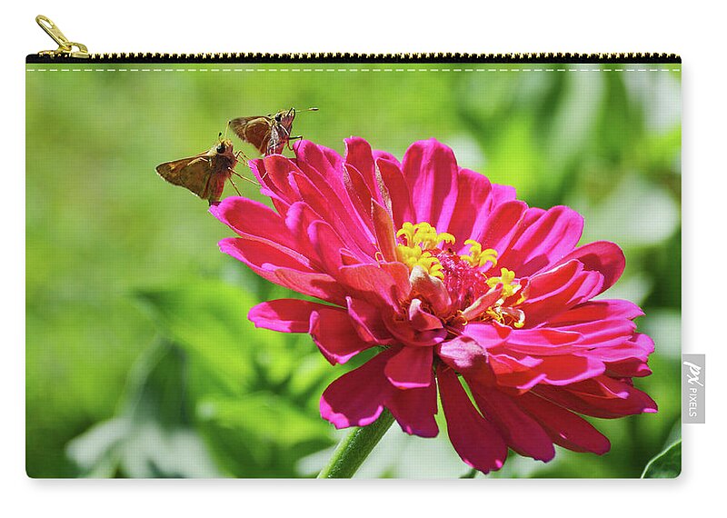 Robyn King Zip Pouch featuring the photograph Love At First Flight by Robyn King