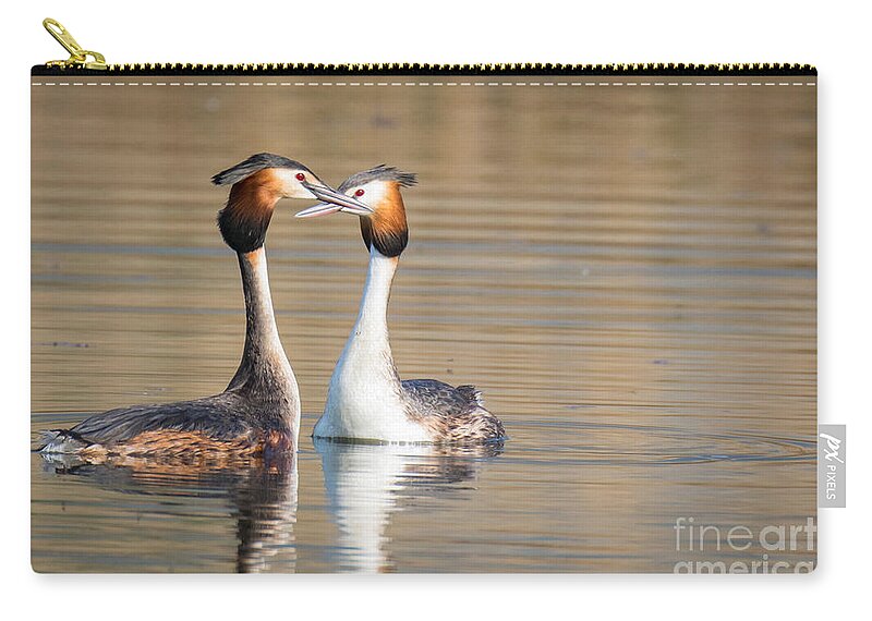 Animalia Zip Pouch featuring the photograph Love couple by Jivko Nakev
