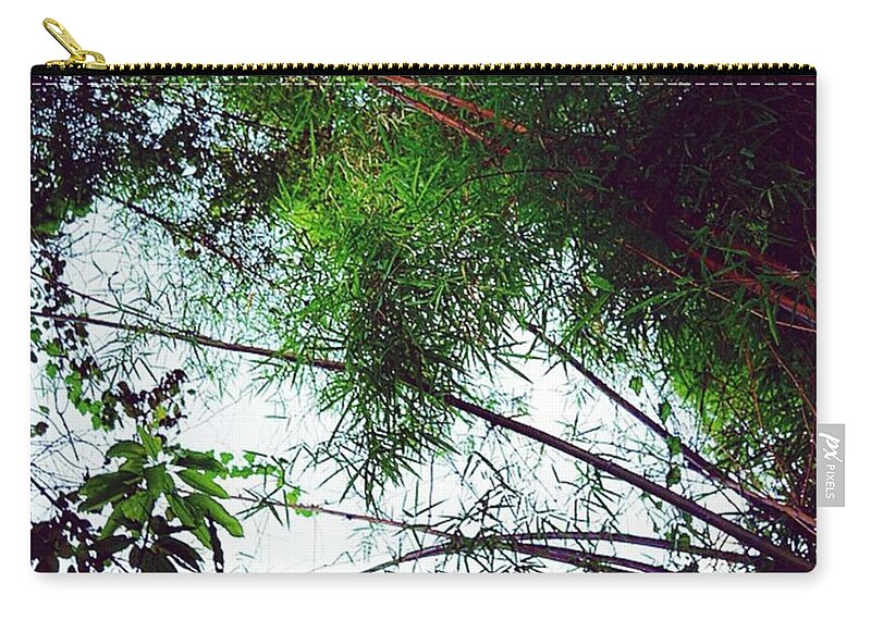 Lovethis Zip Pouch featuring the photograph Love The Bamboo Grove by Aleck Cartwright